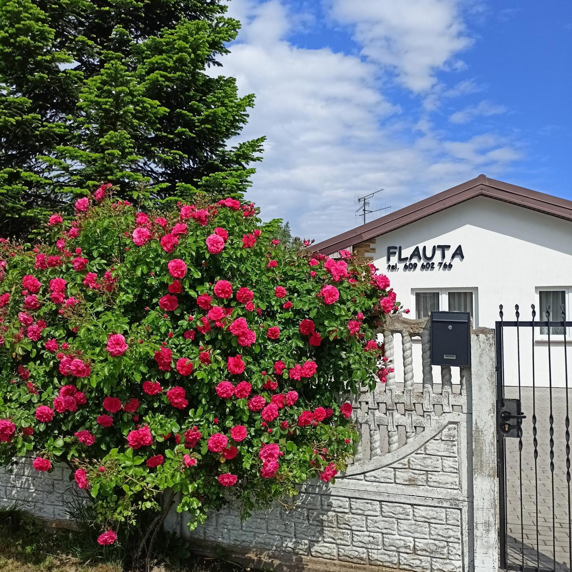 Flauta Apartamenty Rodzinne Mielenko Ngoại thất bức ảnh